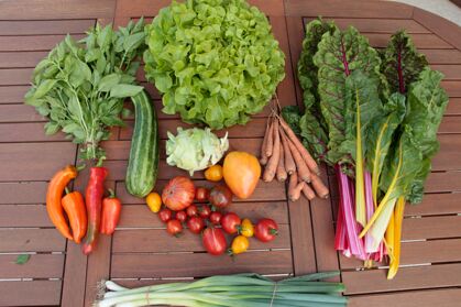 GemüeseKiste KW 35, frisch, lecker, natürlich gewachsen