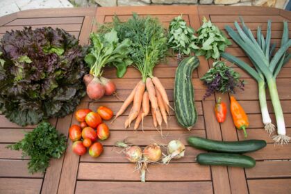 GemüeseKiste KW 30, frisch, lecker, natürlich gewachsen