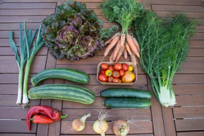 GemüeseKiste KW 32, frisch, lecker, natürlich gewachsen