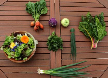 GemüeseKiste LW 25, frisch, lecker, natürlich gewachsen